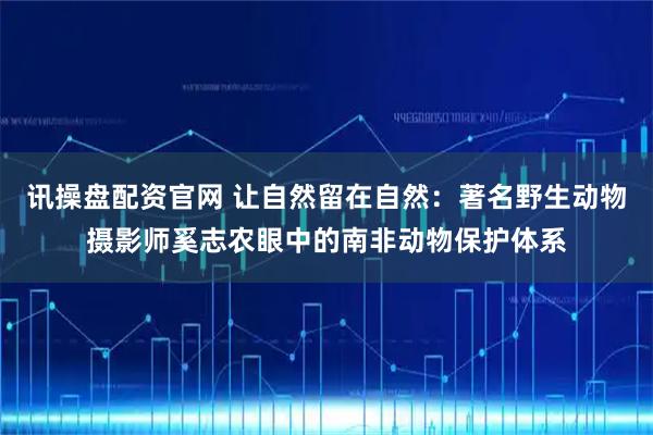 讯操盘配资官网 让自然留在自然：著名野生动物摄影师奚志农眼中的南非动物保护体系