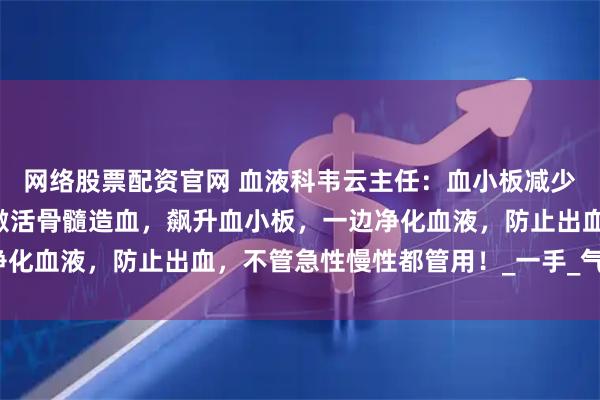 网络股票配资官网 血液科韦云主任：血小板减少的“救命仙草”！一边激活骨髓造血，飙升血小板，一边净化血液，防止出血，不管急性慢性都管用！_一手_气血_调整